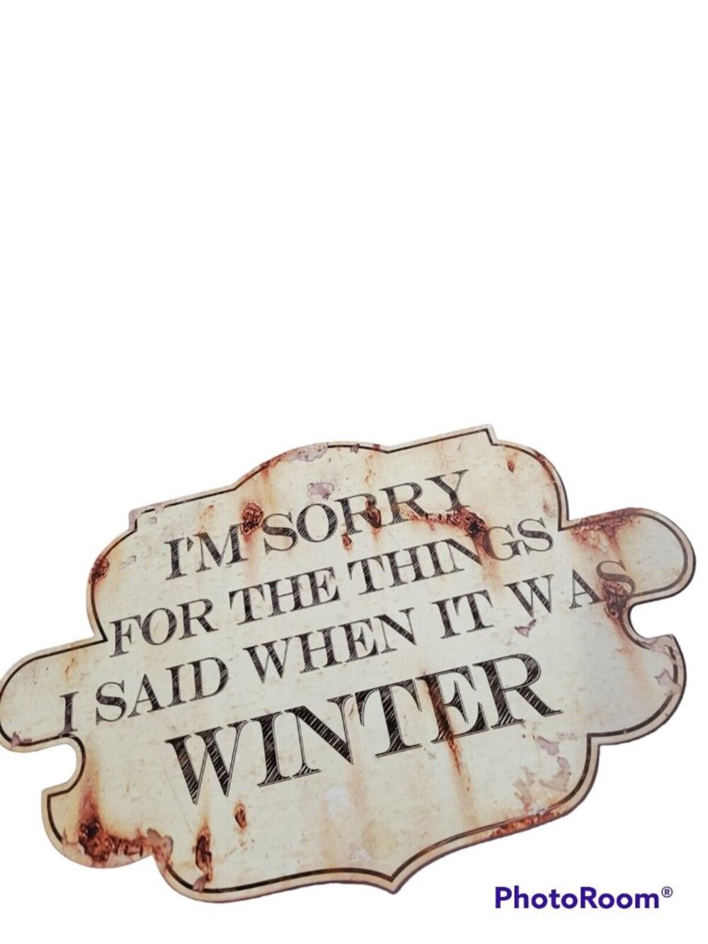Tin Sign Im Sorry For The Things I Said When It Was Winter Reproduction  17x11in